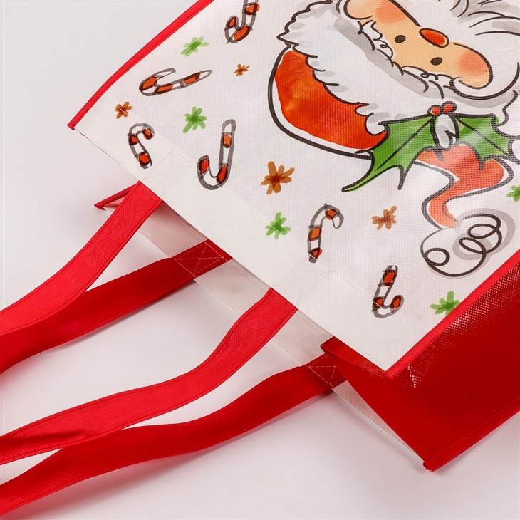 Glossy Laminated Non Woven Shopping Bag With Long Handle