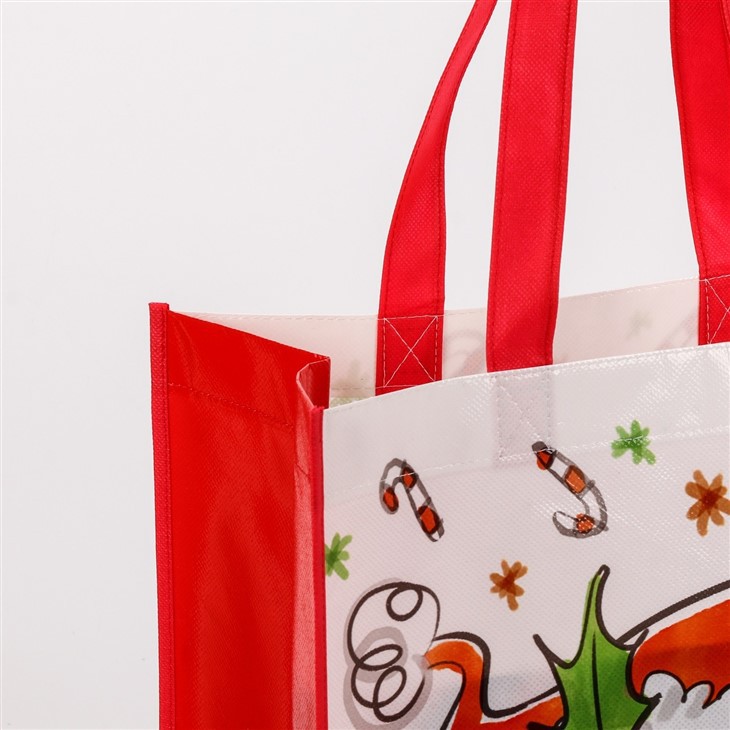 Glossy Laminated Non Woven Shopping Bag With Long Handle