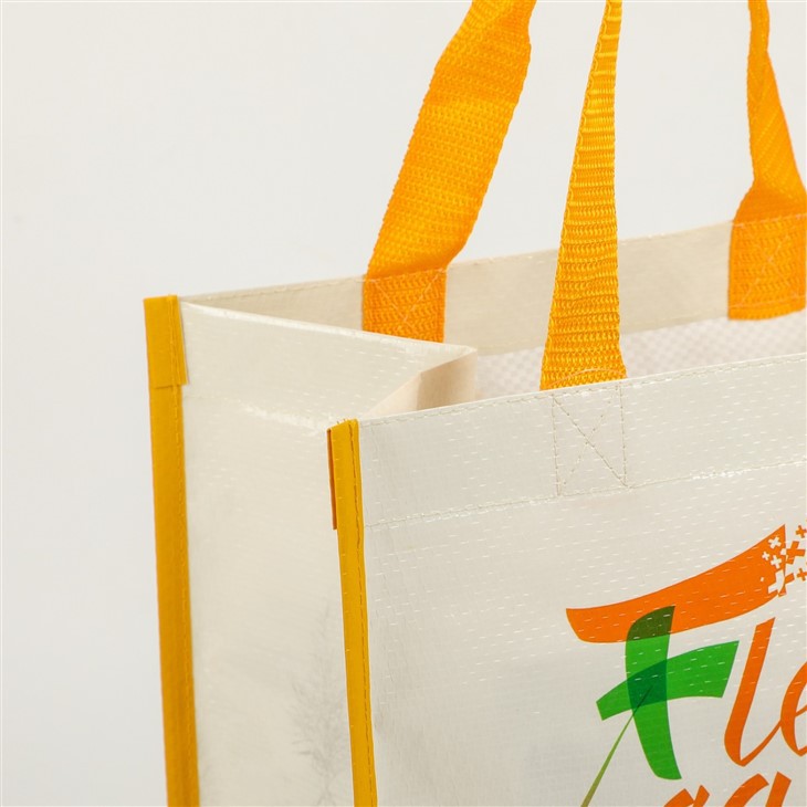 Laminated Woven Shopping Bag Medium Size Nylon Webbing Handle