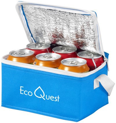 6 Can Compact Cooler Bag