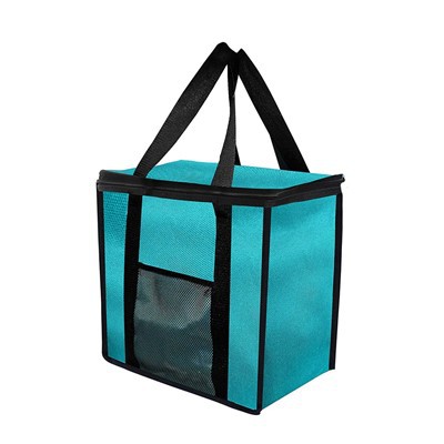 Large Insulated Bag in Teal