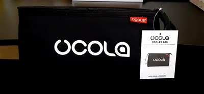 Reusable Collapsible Lunch Cooler Tote Bag