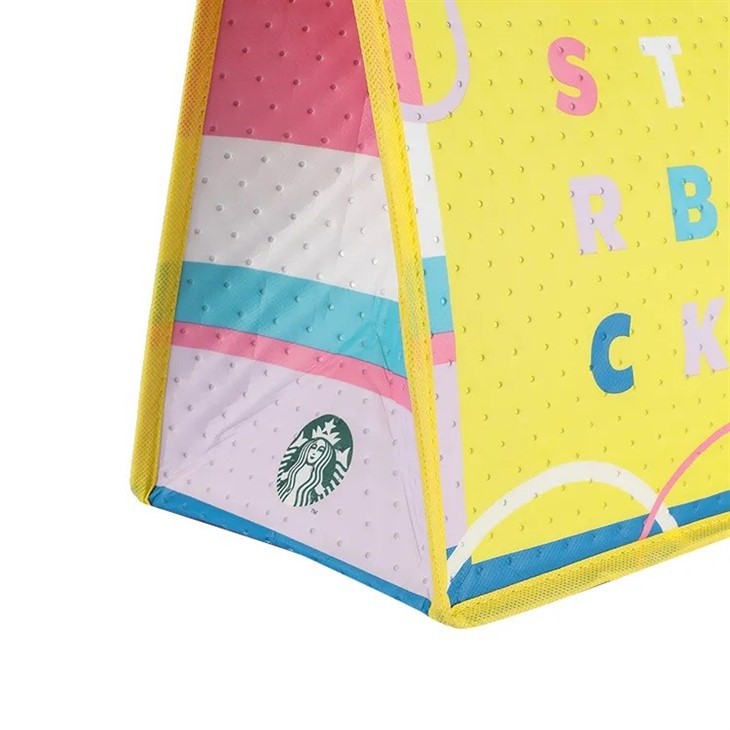 Stamped Non-woven Insulated Cooler Bag With Zipper